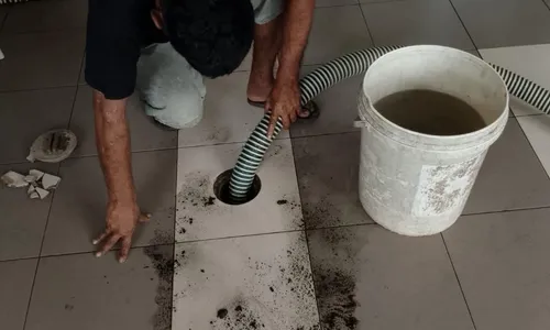 Sedot Septic Tank